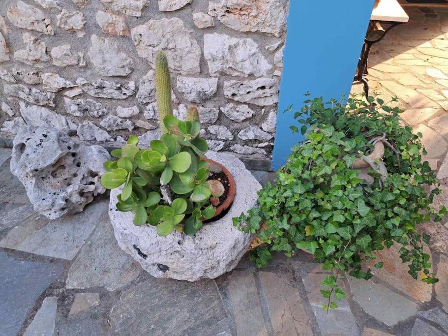 Fragosiko - Rustic Retreat In Kefalonia Argostoli  Eksteriør bilde