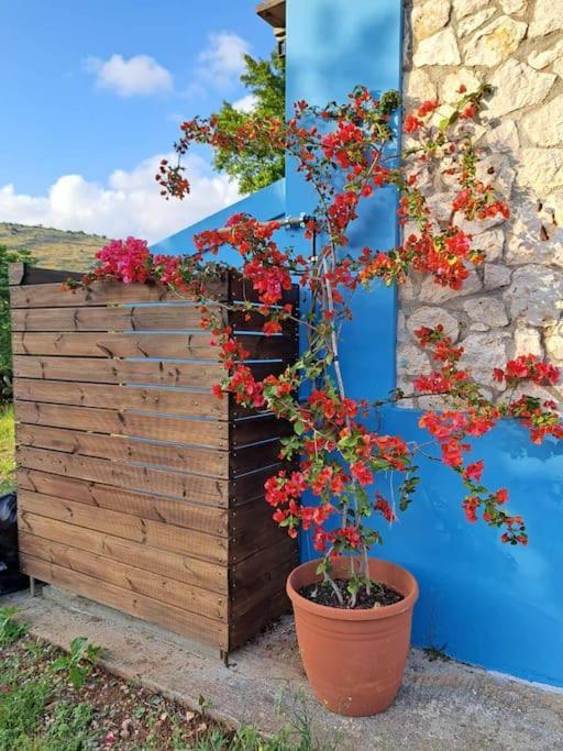 Fragosiko - Rustic Retreat In Kefalonia Argostoli  Eksteriør bilde