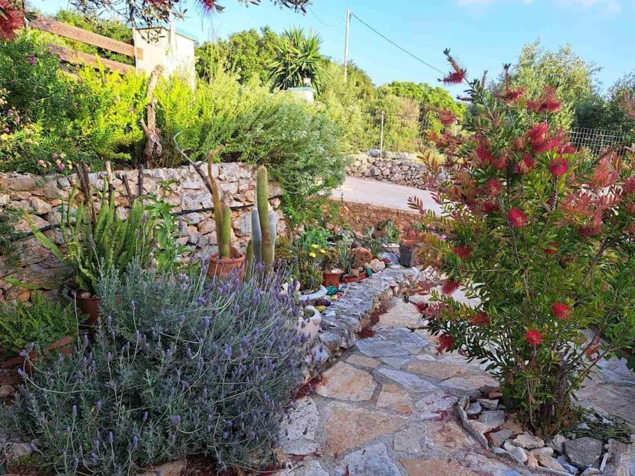 Fragosiko - Rustic Retreat In Kefalonia Argostoli  Eksteriør bilde