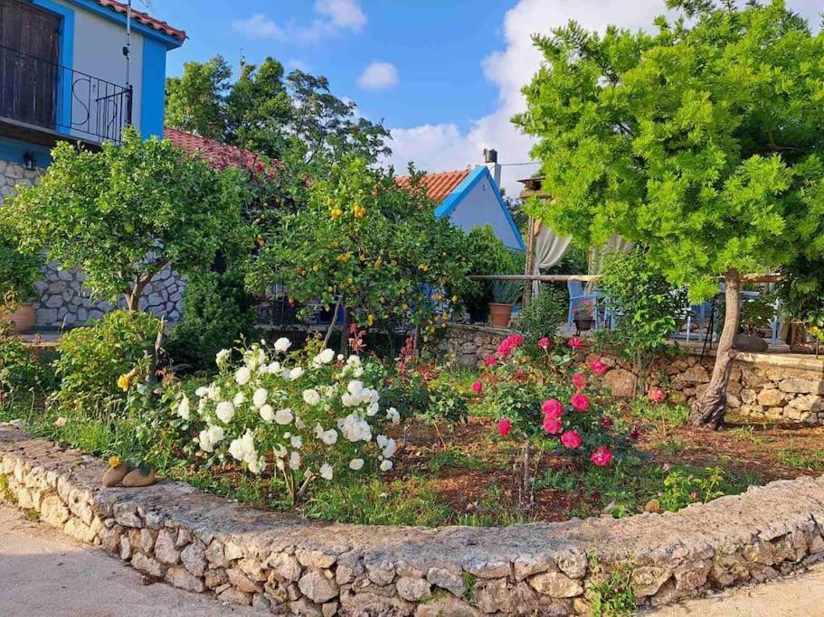 Fragosiko - Rustic Retreat In Kefalonia Argostoli  Eksteriør bilde