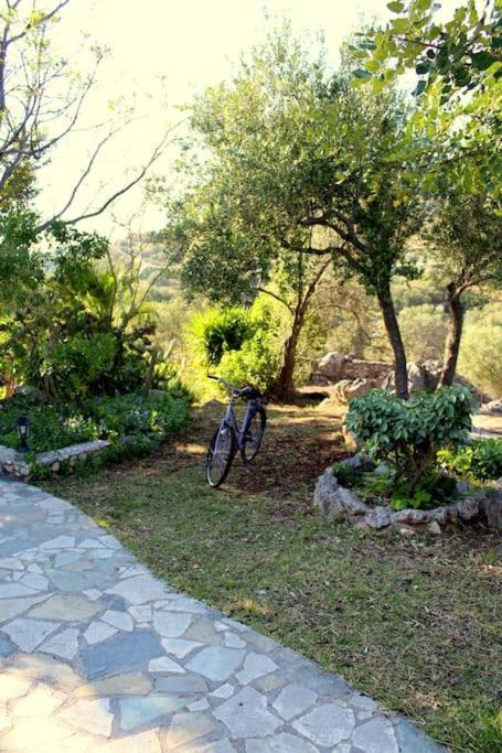 Fragosiko - Rustic Retreat In Kefalonia Argostoli  Eksteriør bilde