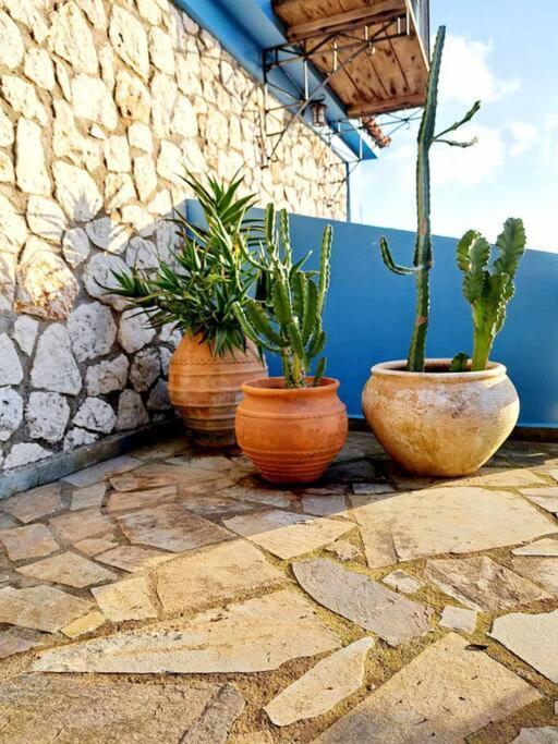 Fragosiko - Rustic Retreat In Kefalonia Argostoli  Eksteriør bilde